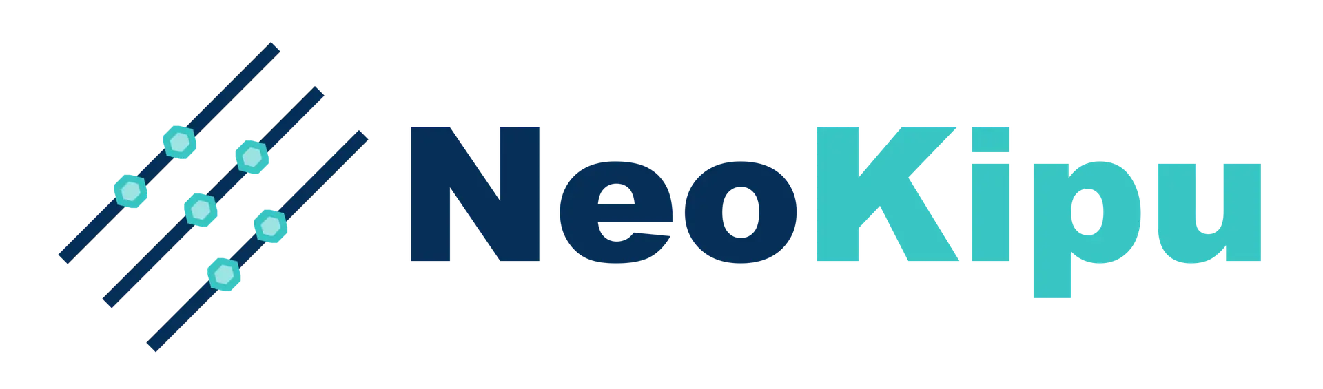 NeoKipu